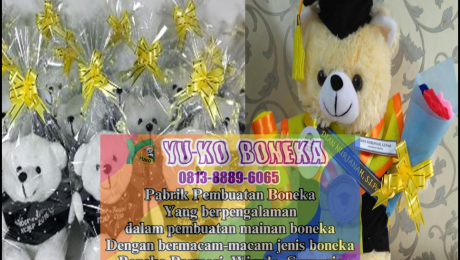 40Harga Boneka Wisuda Terbaik,Grosir Boneka Maskot Terbaik Aceh