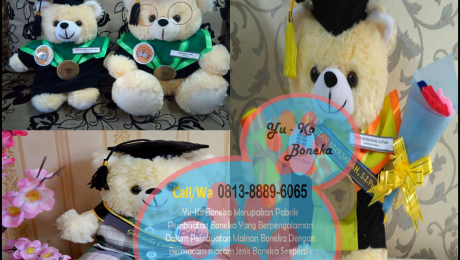 101 Pusat Boneka Wisuda Terbaik,Boneka Maskot Terbaik Sulawesi Tenggara