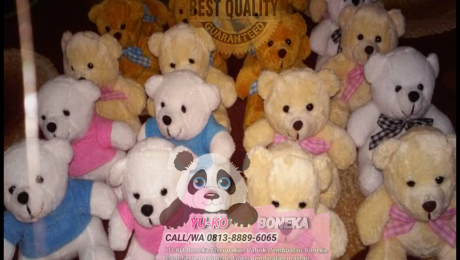 112 Harga Boneka Wisuda,Toko Boneka Maskot Sulawesi Tengah