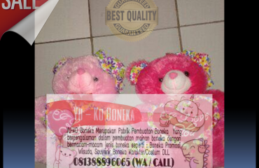114Pusat Boneka Wisuda,Pusat Boneka Maskot SUMATERA SELATAN