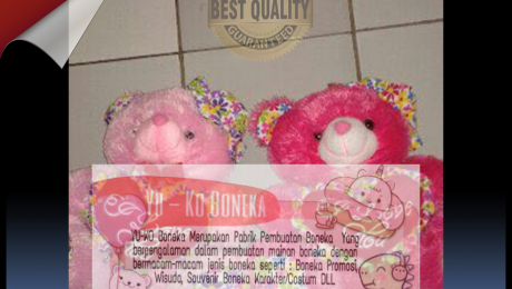 114Pusat Boneka Wisuda,Pusat Boneka Maskot SUMATERA SELATAN