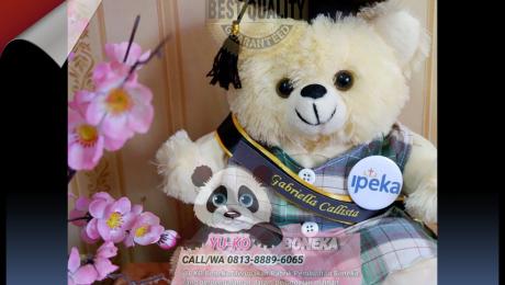 148 Toko Boneka Wisuda Terbaik,Grosir Boneka Maskot Sulawesi Tengah