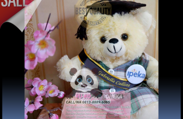 149 Jual Boneka Wisuda Terbaik,Distributor Boneka Maskot Terbaik Sulawesi Tengah