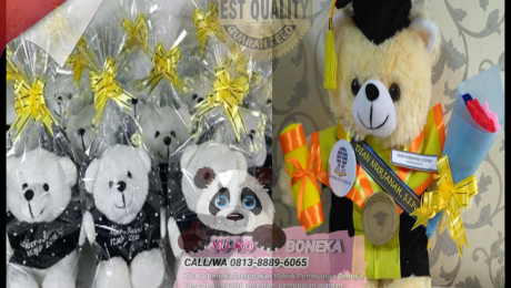 174Supplier Boneka Wisuda Murah,Pesan Boneka Maskot RIAU