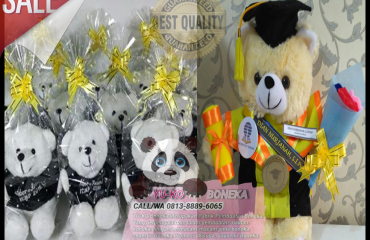 175Produsen Boneka Wisuda Murah,Pabrik Boneka Maskot Terbaik RIAU