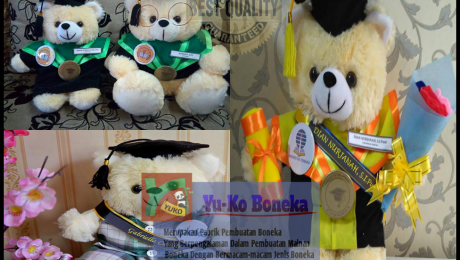 235Jasa Pembuatan Boneka Wisuda Murah,Jasa Pembuatan Boneka Maskot Terbaik KEPULAUAN RIAU