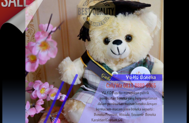 236Industri Boneka Wisuda Murah,Jasa Pembuatan Boneka Maskot Murah KEPULAUAN RIAU