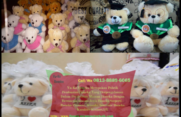 309Grosir Boneka Wisuda,Vendor Boneka Maskot BENGKULU