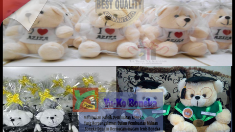 357Vendor Boneka Wisuda Terbaik,Boneka Maskot BENGKULU