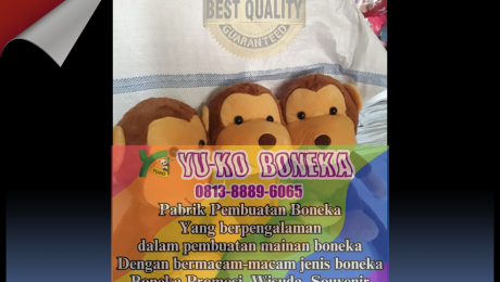 359Pabrik Boneka Wisuda,Vendor Boneka Maskot Murah LAMPUNG