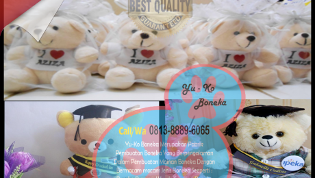 363Harga Boneka Wisuda,Toko Boneka Maskot LAMPUNG