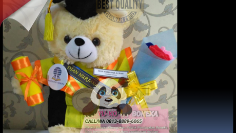 421Pesan Boneka Wisuda,Produsen Boneka Maskot Terbaik BANTEN