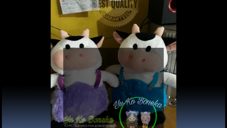 441Distributor Boneka Wisuda Murah,Jasa Pembuatan Boneka Maskot BANTEN
