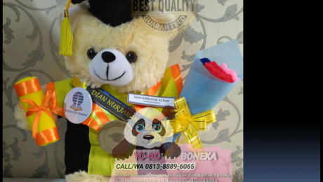 518Toko Boneka Wisuda,Supplier Boneka Maskot Murah Jawa Tengah