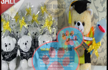 Beli Boneka Promosi Murah Banten, Beli Boneka Wisuda Murah Banten, Beli Boneka Bantal Murah Banten, Beli Boneka Weding Murah Banten