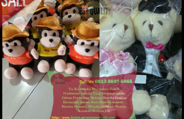 Beli Boneka Promosi Sabang Aceh, Beli Boneka Wisuda Sabang Aceh, Beli Boneka Bantal Sabang Aceh, Beli Boneka Weding Sabang Aceh