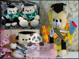 Beli Boneka Wisuda Terbaik