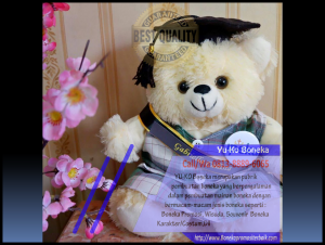 Jual Boneka Wisuda Terbaik