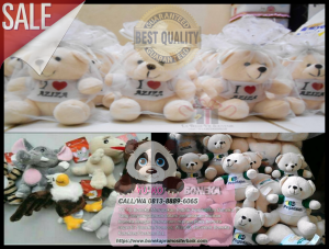 Beli Boneka Wisuda Murah