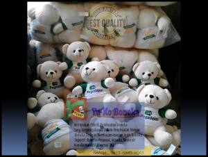 Jual Boneka Wisuda Murah