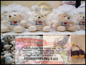 Vendor Boneka Wisuda Murah