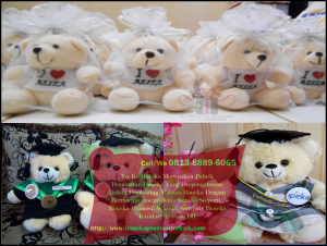 Distributor Boneka Wisuda.