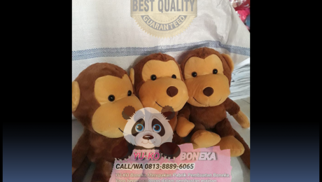Jasa Pembuatan Boneka Leher Probolinggo Jawa Timur, Jasa Pembuatan Souvenir Boneka Probolinggo Jawa Timur