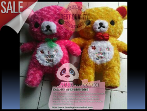 Vendor Boneka Wisuda