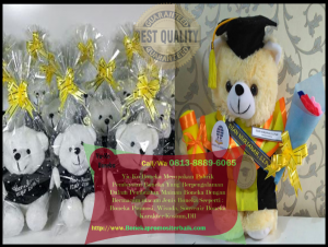 Vendor Boneka Wisuda Terbaik
