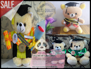 Harga Boneka Wisuda