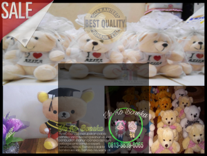 Beli Boneka Wisuda Terbaik
