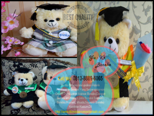 Boneka Wisuda Murah