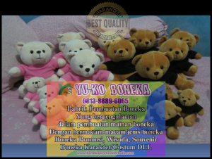 Jual Boneka Wisuda